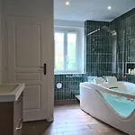 British Billard & Jacuzzi Centre Parking Gratuit Appartement Mulhouse