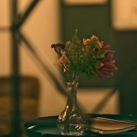 Appartement British Billard&jacuzzi Centre Parking Gratuit Mulhouse