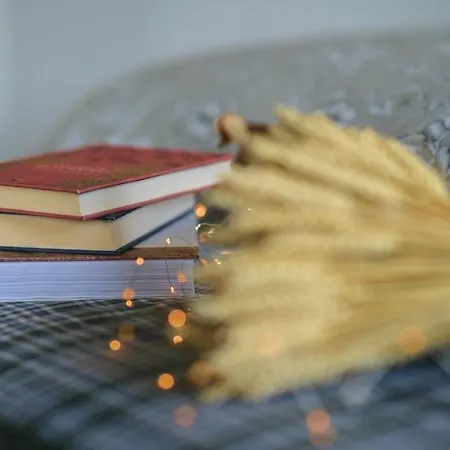 Appartement British Billard&jacuzzi Centre Parking Gratuit Mulhouse