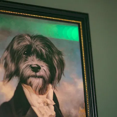 Appartement British Billard&jacuzzi Centre Parking Gratuit